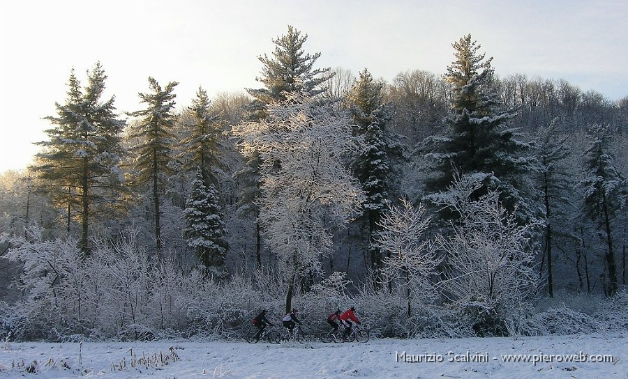 05 In bici davanti la pineta.JPG